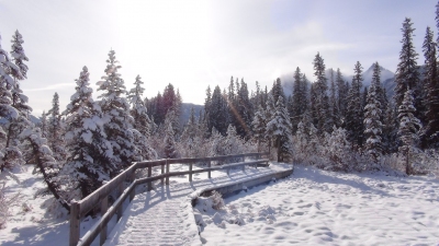 Canmore Alberta im Winter (Alexander Mirschel)  Copyright 
Infos zur Lizenz unter 'Bildquellennachweis'